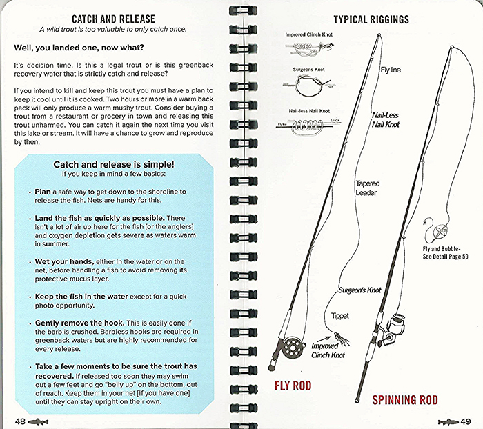 Catch and Release | Typical Riggings